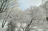 Décor enchanteur hivernal de l&#039;Île d&#039;Orléans, Québec