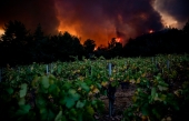 Plusieurs domaines viticoles de Napa Valley dévastés par les flammes