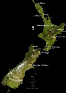 300NZW NZ Map 4C petite