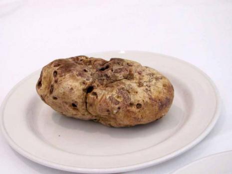 la truffe blanche