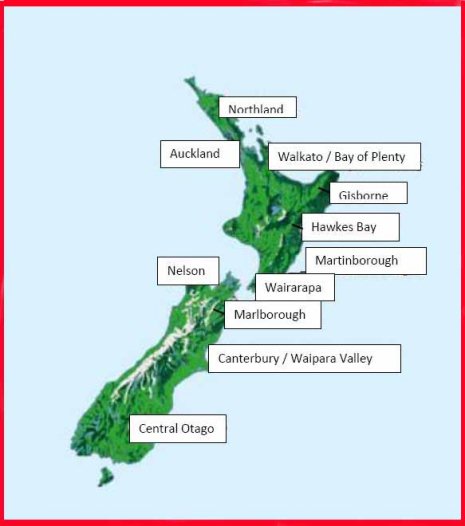 carte nz vins