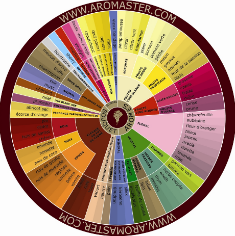 photo la roue des aromes du vin d aromaster