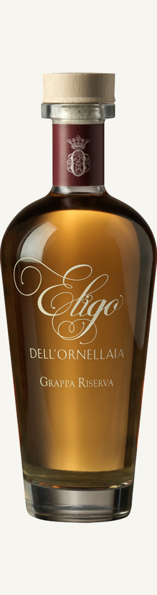 huet eligo grappa