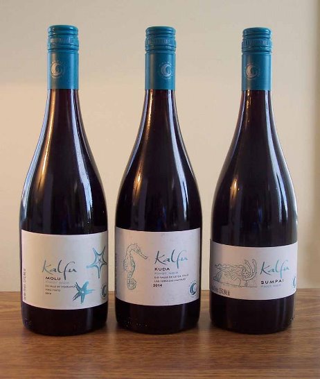 huet kalfu pinot noir sr