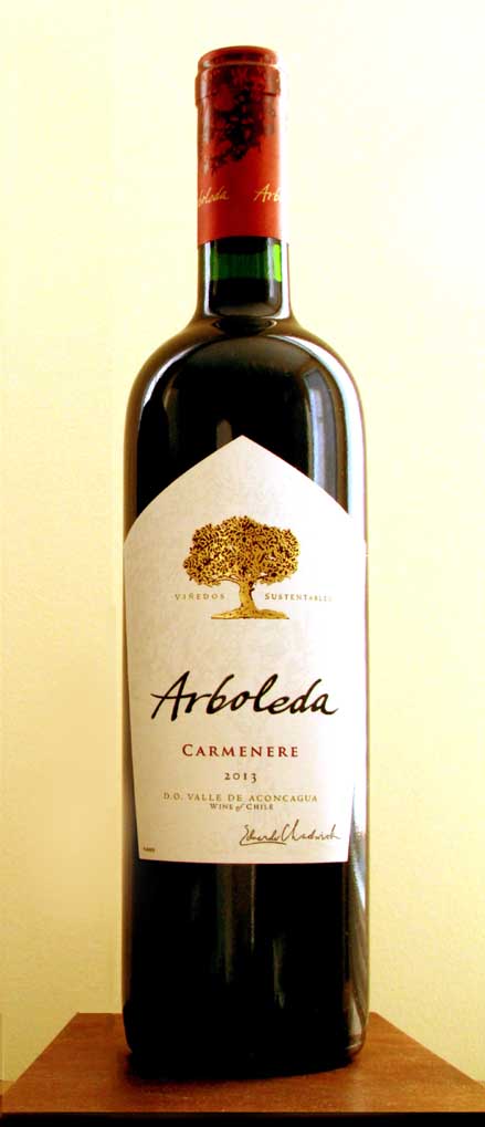 huet arboleda carmnre 2013 sr