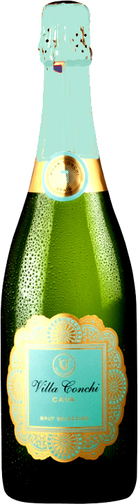 ROGER villa conchi cava