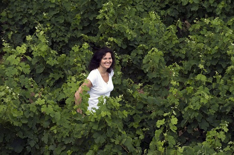 roger caumont laurence dans les vignes