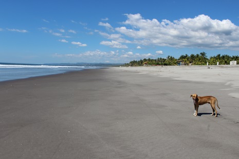 raymond rossignol elsalvador4