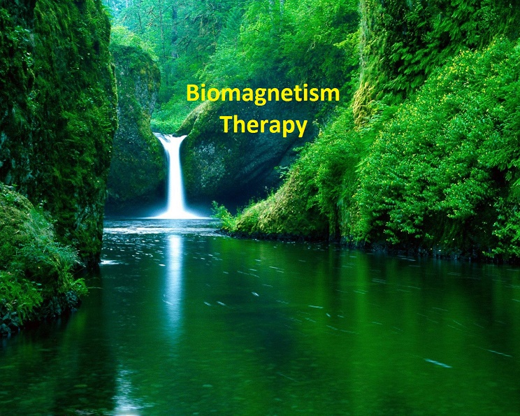 molly biomagnetisme55