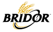 revue bridor logo