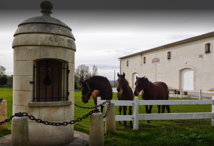 patrick fonrazade chevaux