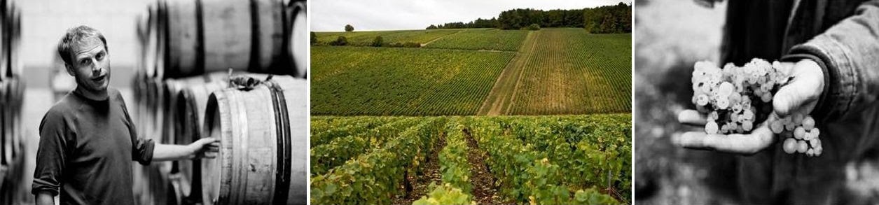 revue patrick piuze montage