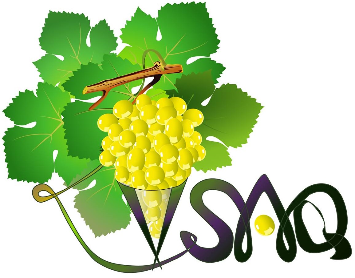 revue vsaq logo