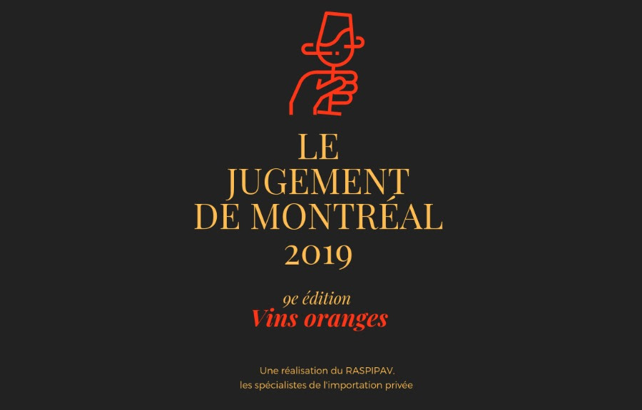 vins jugement 2019