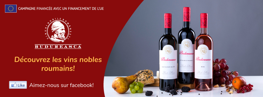 banner budureasca 851x315px