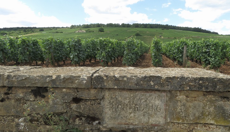 vignes de Richebourg