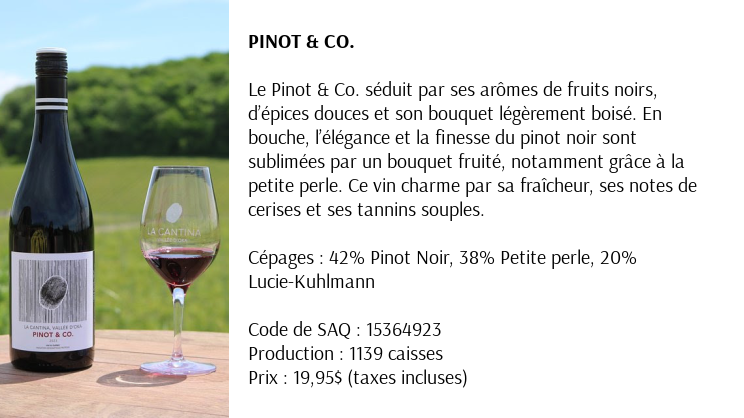 Blank 744 x 418 copy