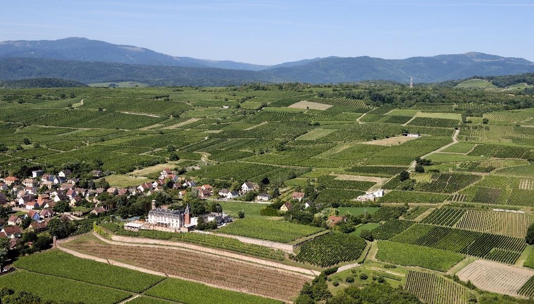 alsace