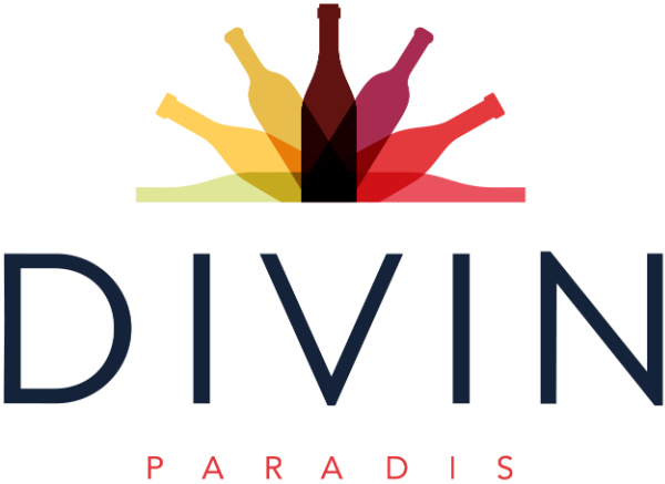 Divin Logo2021