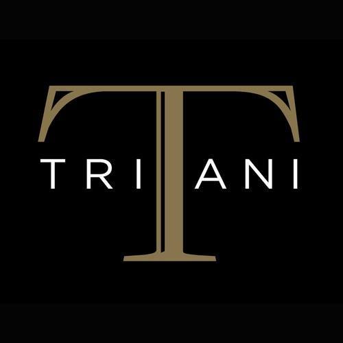 groupe triani logo