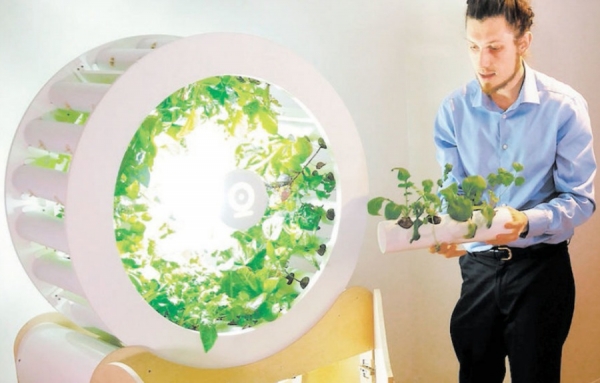 Cultivez vos légumes &amp; fines herbes 12 mois par année