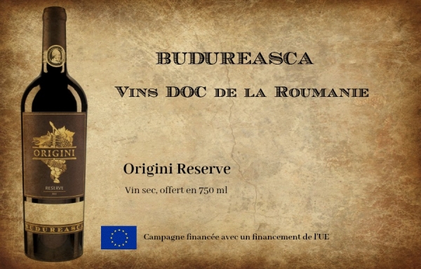 Quand le vin est un art, Origini Reserve de Budureasca est un chef-d&#039;œuvre