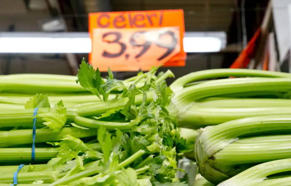 Le r&ecirc;ve du c&eacute;leri du Qu&eacute;bec toute l&rsquo;ann&eacute;e