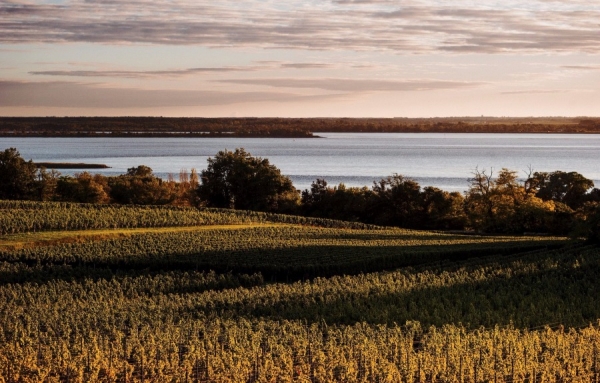 Bordeaux : un 2017 compliqu&eacute; mais des ambitions clairement d&eacute;voil&eacute;es