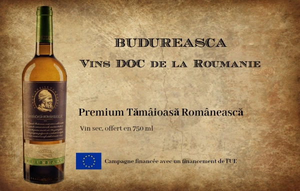 Le Budureasca Premium Tăm&acirc;ioasă Romaneasca 2017 blanc