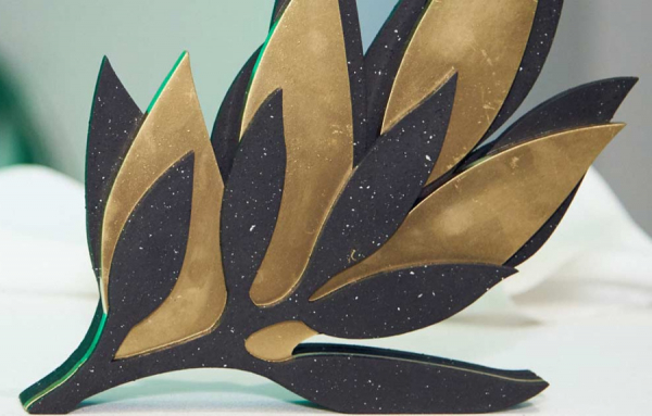 Les finalistes des Lauriers 2021 en virtuel