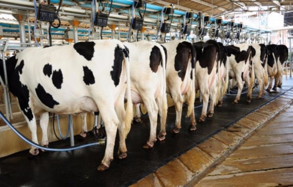 P&eacute;nurie de beurre en France