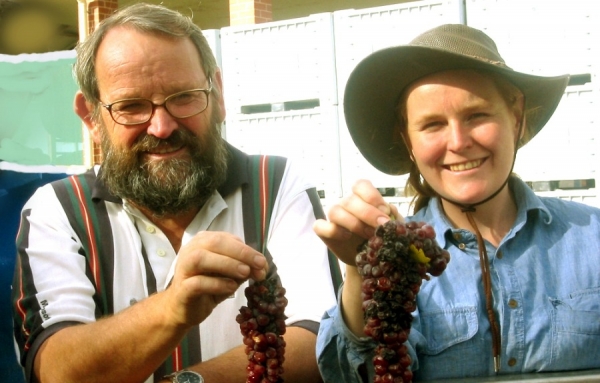 Pfeiffer, des vins faits avec amour