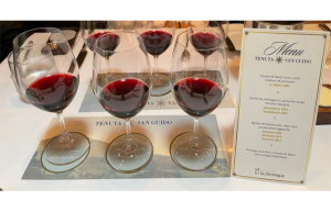 Élégance toscane: dégustation verticale de Sassicaia à Montréal – un moment d’exception avec Tenuta San Guido