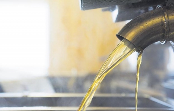 Visites d’érablières avec le biologiste Stéphane Guay