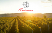 Masterclass sur les vins roumains Budureasca