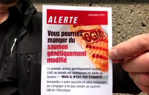 Le saumon OGM est bien pr&eacute;sent, mais il n'est pas identifi&eacute;...