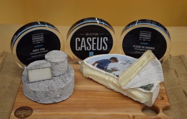 Les TOP des fromages du Québec gagnent la faveur du public