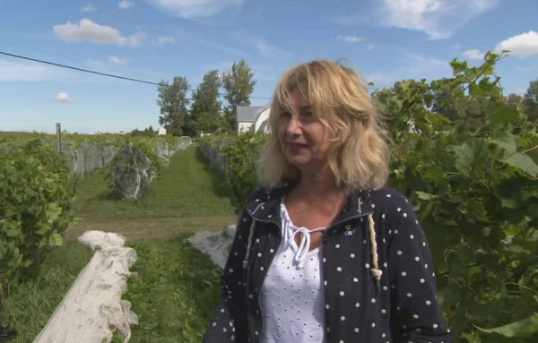 Pour France Cliche, posséder un vignoble (Le Mas des Patriotes) est un rêve devenu réalité