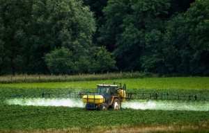 France - fin du glyphosate dans trois ans, «Inévitable Protectionnisme» pour l&#039;agroviticulture française?