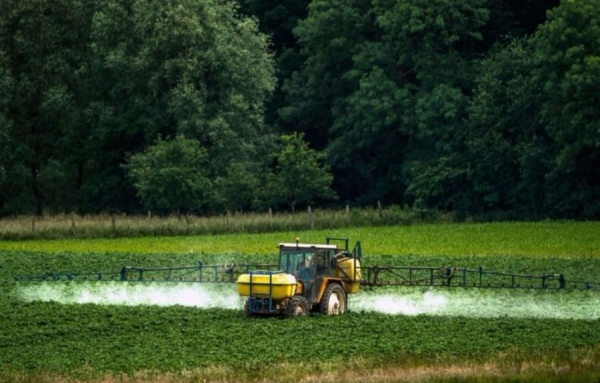 France - fin du glyphosate dans trois ans, «Inévitable Protectionnisme» pour l&#039;agroviticulture française?