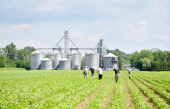 Le nombre de fermes certifiées bio a doublé au Québec depuis cinq ans