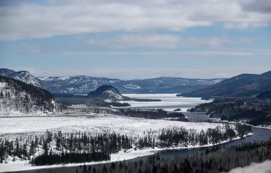 Le Québec pourrait perdre des certifications internationales de saine gestion des forêts
