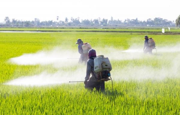 Des groupes environnementalistes formulent leurs demandes en vue des élections