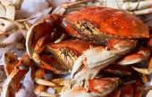 Le  crabe des neiges canadien perd sa certification de « pêche durable »