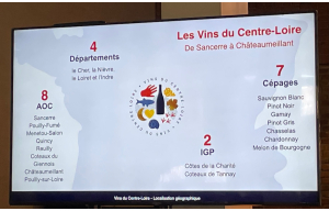 Vins du Centre-Loire – au-delà du Sancerre