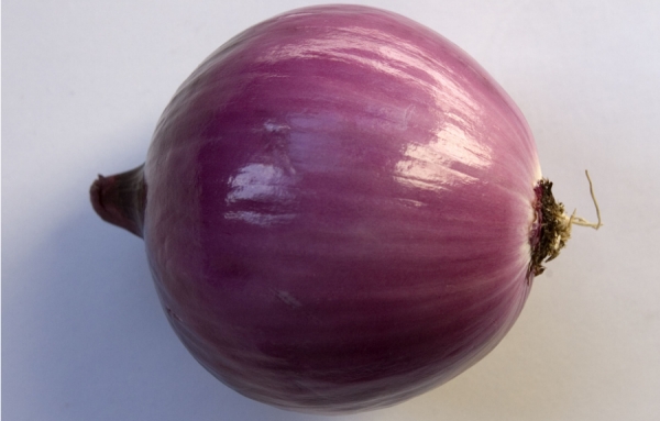 Évitez les oignons rouges en ce moment, à cause de la salmonellose