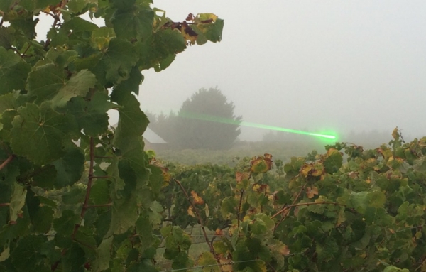 Un &eacute;pouvantail laser pour chasser les oiseaux