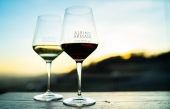 Exclusif! - Liste des producteurs viticoles présents à Une dégustation de vins d&#039;Italie 2019
