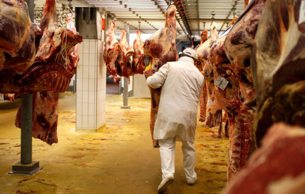 EUROPE – La traçabilité alimentaire vient de prendre fin, au grand désespoir des consommateurs