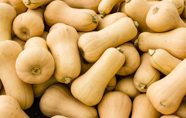 Dites adieu aux belles courges du Québec en 2023